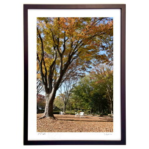 ŉ ʐ^EӏH (})CeA Ǌ| z i |X^[ A[g rO ւɏ  v[g _ A[gt[