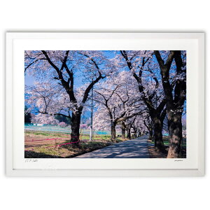 ŉ Rkms@ (zx)CeA Ǌ| z i |X^[ A[g rO ւɏ  v[g _ A[gt[