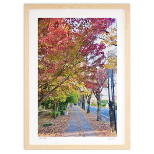 ŉ gt̊XH (mitan)CeA Ǌ| z i |X^[ A[g rO ւɏ  v[g _ A[gt[