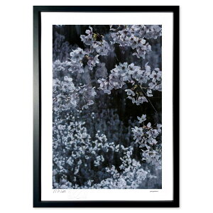 yX[p[SALEzzŉ 炫 (zx)CeA Ǌ| z i |X^[ A[g rO ւɏ  v[g _ A[gt[