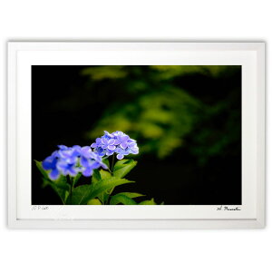 ŉ ~ĴƂ (Shinobu Muramatsu)