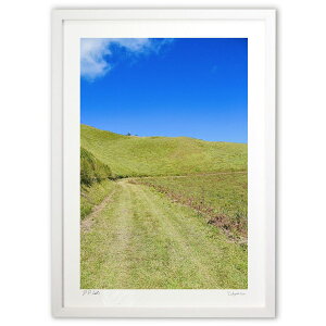 ŉ z (mitan)CeA Ǌ| z i |X^[ A[g rO ւɏ  v[g _ A[gt[