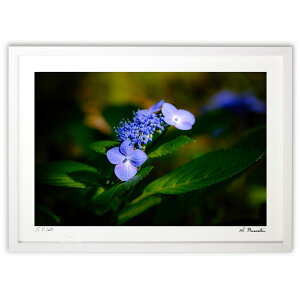 ŉ ~J̍Ԃ (Shinobu Muramatsu)