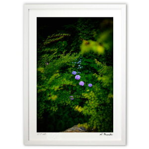 ŉ zԂƐgt̋ (Shinobu Muramatsu)