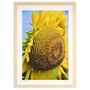 ŉ hAbv (mitan)CeA Ǌ| z i |X^[ A[g rO ւɏ  v[g _ A[gt[