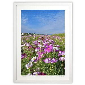 ŉ ݂͊̃RXX (mitan)CeA Ǌ| z i |X^[ A[g rO ւɏ  v[g _ A[gt[