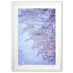 ŉ hΖʂ̍ (zx)CeA Ǌ| z i |X^[ A[g rO ւɏ  v[g _ A[gt[