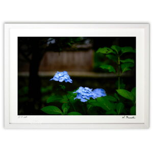 ŉ ~ĴƂ (Shinobu Muramatsu)