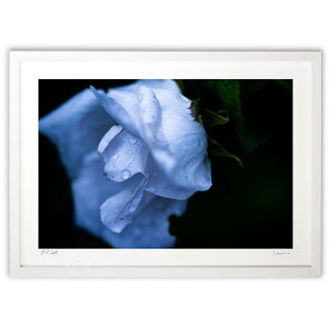 yX[p[SALEzzŉ Jオƃn}iX̉ (TAKAYA)CeA Ǌ| z i |X^[ A[g rO ւɏ  v[g _ A[gt[