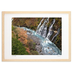 yX[p[SALEzzŉ Ȇ (Xm[oj)CeA Ǌ| z i |X^[ A[g rO ւɏ  v[g _ A[gt[