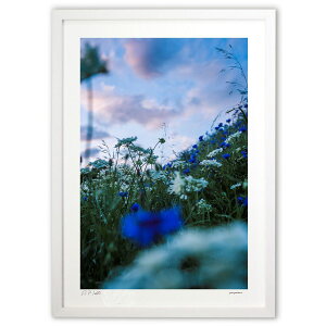 ŉ ẲAƐ (zx)CeA Ǌ| z i |X^[ A[g rO ւɏ  v[g _ A[gt[