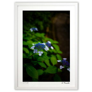 ŉ RԂ̏a (Shinobu Muramatsu)