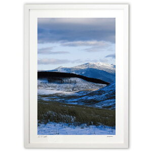 yX[p[SALEzzŉ YōLȖ􎼌̓~ (zx)CeA Ǌ| z i |X^[ A[g rO ւɏ  v[g _ A[gt[