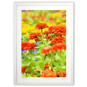 ŉ H̉ (mitan)CeA Ǌ| z i |X^[ A[g rO ւɏ  v[g _ A[gt[