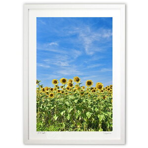 ŉ Ђ܂ (mitan)CeA Ǌ| z i |X^[ A[g rO ւɏ  v[g _ A[gt[