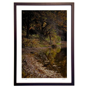 ŉ gtrɂ (zx)CeA Ǌ| z i |X^[ A[g rO ւɏ  v[g _ A[gt[