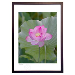 ŉ @̉ (I.ISHIGAMI)CeA Ǌ| z i |X^[ A[g rO ւɏ  v[g _ A[gt[