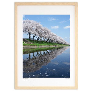 ŉ  (I.ISHIGAMI)CeA Ǌ| z i |X^[ A[g rO ւɏ  v[g _ A[gt[