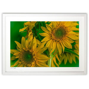 ŉ ͋Ђ܂ (bluewoods07)CeA Ǌ| z i |X^[ A[g rO ւɏ  v[g _ A[gt[