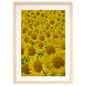 ŉ zɌ (h)CeA Ǌ| z i |X^[ A[g rO ւɏ  v[g _ A[gt[