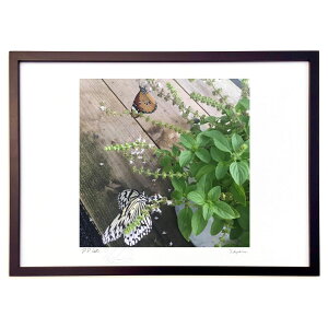 ŉ ʐ^@Ɖ (ru_rose)CeA Ǌ| z i |X^[ A[g rO ւɏ  v[g _ A[gt[