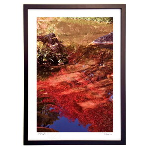 ŉ ʂ̏H (mitan)CeA Ǌ| z i |X^[ A[g rO ւɏ  v[g _ A[gt[