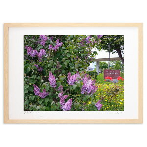 ŉ ԉ (Xm[oj)CeA Ǌ| z i |X^[ A[g rO ւɏ  v[g _ A[gt[