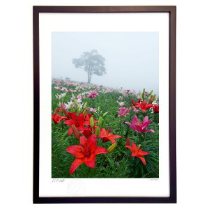 ŉ S̋u (I.ISHIGAMI)CeA Ǌ| z i |X^[ A[g rO ւɏ  v[g _ A[gt[