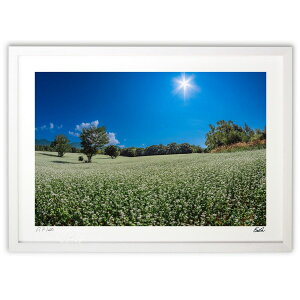 ŉ ӉĂ̍ (eishowmutoh)CeA Ǌ| z i |X^[ A[g rO ւɏ  v[g _ A[gt[