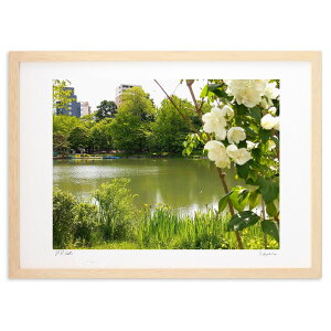 ŉ ΂̒r (Xm[oj)CeA Ǌ| z i |X^[ A[g rO ւɏ  v[g _ A[gt[