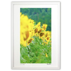 ŉ Ђ܂ (kaz photo)CeA Ǌ| z i |X^[ A[g rO ւɏ  v[g _ A[gt[