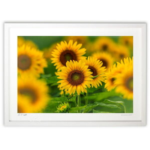 ŉ  (bluewoods07)CeA Ǌ| z i |X^[ A[g rO ւɏ  v[g _ A[gt[