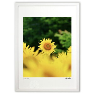 ŉ Ăグ (kaz photo)CeA Ǌ| z i |X^[ A[g rO ւɏ  v[g _ A[gt[