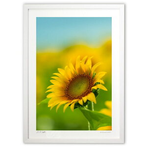 ŉ ւ̌ (bluewoods07)CeA Ǌ| z i |X^[ A[g rO ւɏ  v[g _ A[gt[