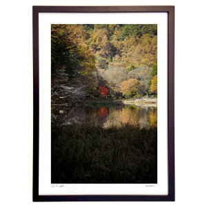 ŉ gtrɂ (zx)CeA Ǌ| z i |X^[ A[g rO ւɏ  v[g _ A[gt[