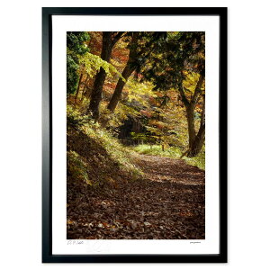 ŉ ؘR̂ѓ@ (zx)CeA Ǌ| z i |X^[ A[g rO ւɏ  v[g _ A[gt[