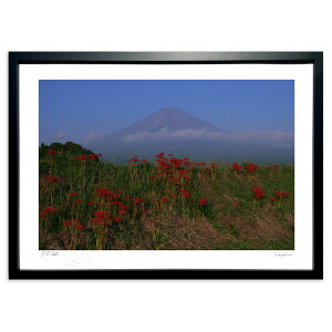 ŉ ފ݉ԍ炭 (FF)CeA Ǌ| z i |X^[ A[g rO ւɏ  v[g _ A[gt[