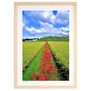 yX[p[SALEzzŉ cڂтފ݉ (mitan)CeA Ǌ| z i |X^[ A[g rO ւɏ  v[g _ A[gt[