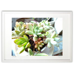 ŉ A (肶 )CeA Ǌ| z i |X^[ A[g rO ւɏ  v[g _ A[gt[