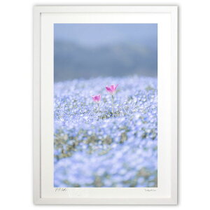 ŉ ltBƃ`[bv ({ \i)CeA Ǌ| z i |X^[ A[g rO ւɏ  v[g _ A[gt[