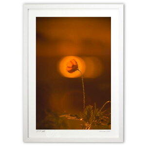 ŉ [̃LoiRXX (bluewoods07)