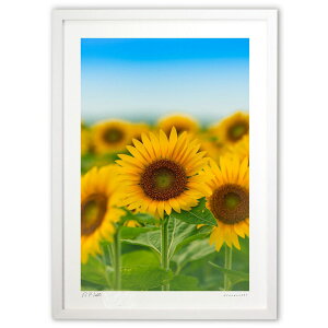 ŉ _炩Ȍ (bluewoods07)CeA Ǌ| z i |X^[ A[g rO ւɏ  v[g _ A[gt[