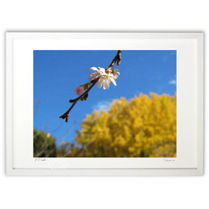 ŉ H̍ ()CeA Ǌ| z i |X^[ A[g rO ւɏ  v[g _ A[gt[