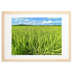 ŉ G߂͐i (|{s)CeA Ǌ| z i |X^[ A[g rO ւɏ  v[g _ A[gt[