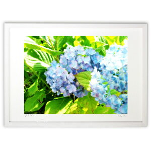 ŉ ẴAWTC (肶 )CeA Ǌ| z i |X^[ A[g rO ւɏ  v[g _ A[gt[