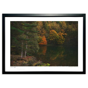 ŉ H[܂ˎr (ramble)CeA Ǌ| z i |X^[ A[g rO ւɏ  v[g _ A[gt[