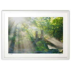 ŉ ԋ̌ (mitan)CeA Ǌ| z i |X^[ A[g rO ւɏ  v[g _ A[gt[