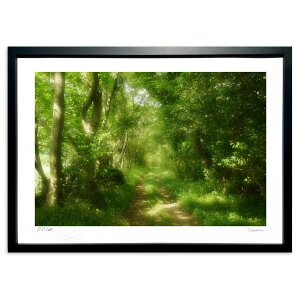 ŉ ؘR̓ij (@)CeA Ǌ| z i |X^[ A[g rO ւɏ  v[g _ A[gt[