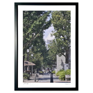 ŉ i₩ȕPH (~I)CeA Ǌ| z i |X^[ A[g rO ւɏ  v[g _ A[gt[