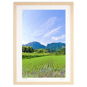 ŉ Ă̍sw (@)CeA Ǌ| z i |X^[ A[g rO ւɏ  v[g _ A[gt[